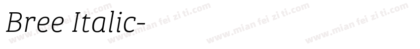 Bree Italic字体转换